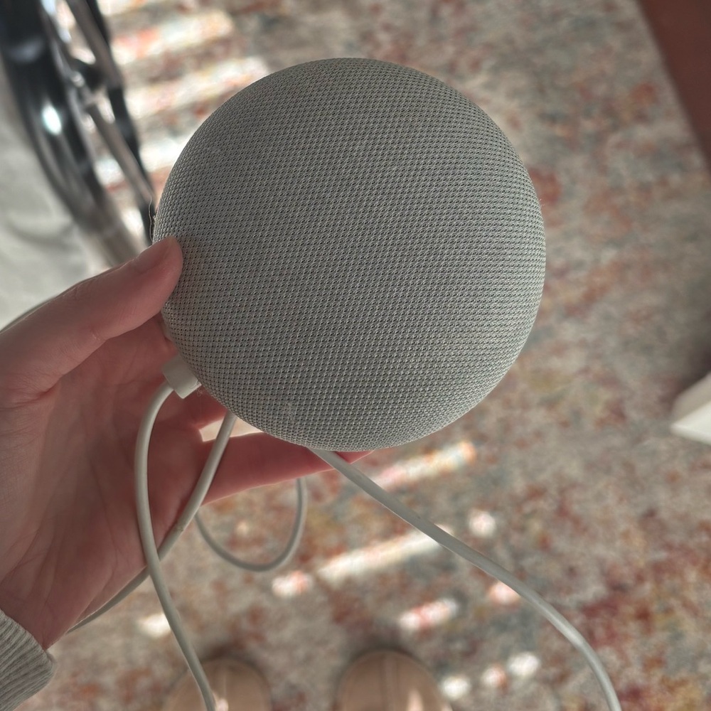 Google Home Mini